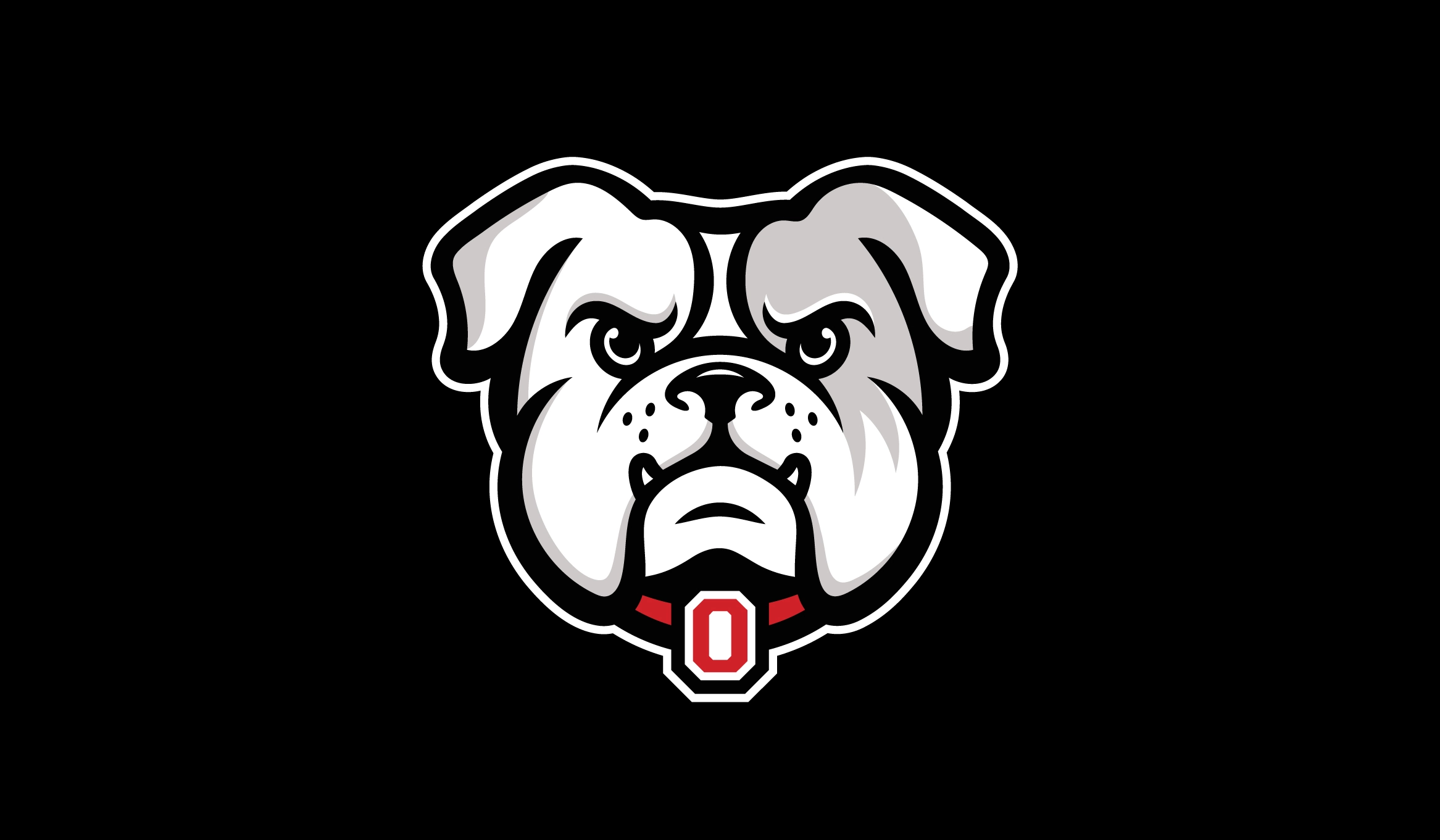 Opelika High School Bulldogs Alabama new logo branding